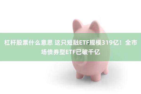 杠杆股票什么意思 这只短融ETF规模319亿！全市场债券型ETF已破千亿