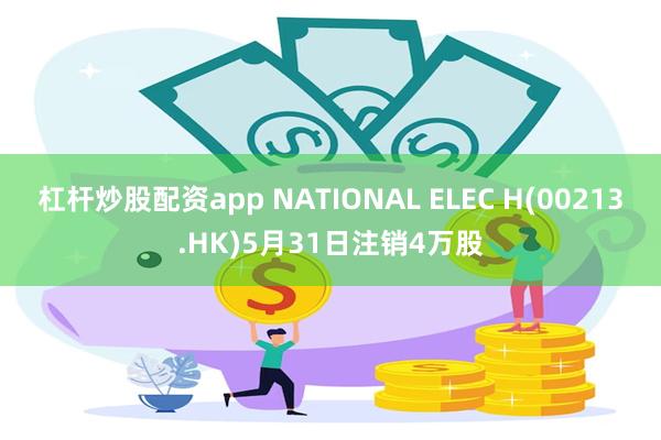 杠杆炒股配资app NATIONAL ELEC H(00213.HK)5月31日注销4万股