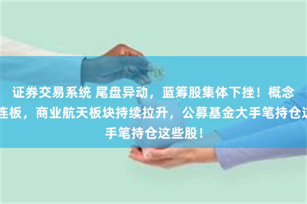 证券交易系统 尾盘异动，蓝筹股集体下挫！概念龙头4连板，商业航天板块持续拉升，公募基金大手笔持仓这些股！