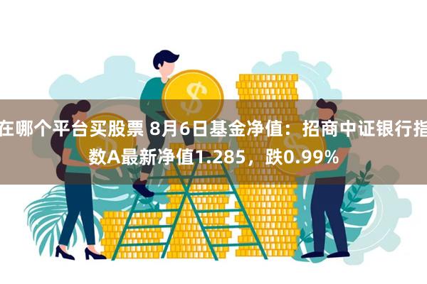 在哪个平台买股票 8月6日基金净值：招商中证银行指数A最新净值1.285，跌0.99%