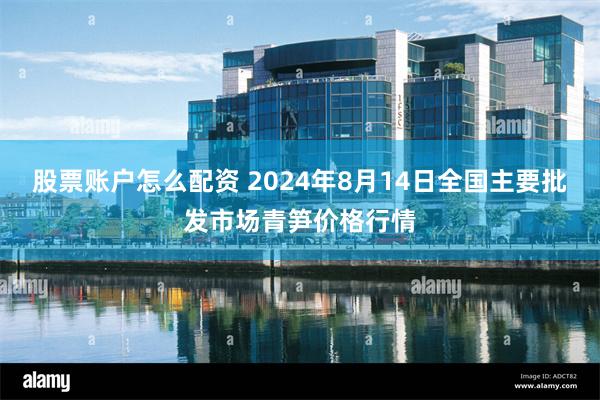 股票账户怎么配资 2024年8月14日全国主要批发市场青笋价格行情