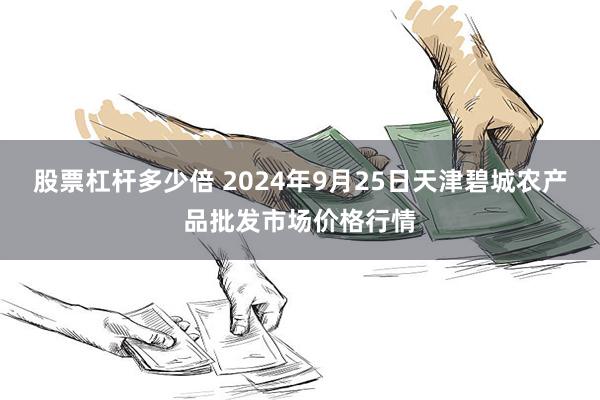 股票杠杆多少倍 2024年9月25日天津碧城农产品批发市场价格行情