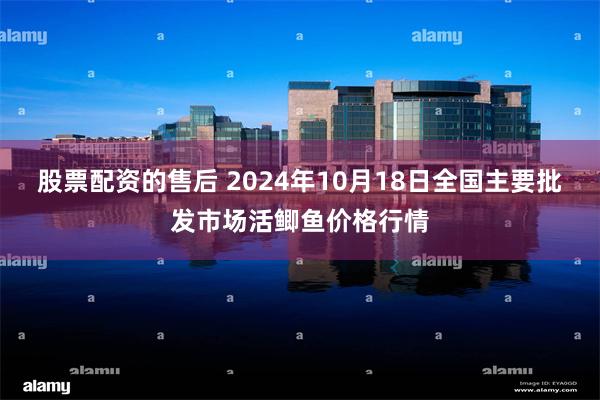 股票配资的售后 2024年10月18日全国主要批发市场活鲫鱼价格行情