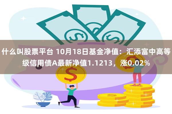 什么叫股票平台 10月18日基金净值：汇添富中高等级信用债A最新净值1.1213，涨0.02%