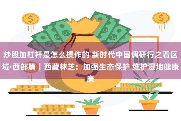 炒股加杠杆是怎么操作的 新时代中国调研行之看区域·西部篇｜西藏林芝：加强生态保护 维护湿地健康