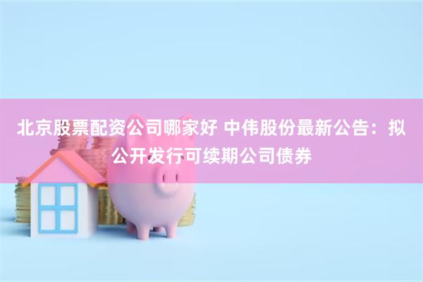 北京股票配资公司哪家好 中伟股份最新公告：拟公开发行可续期公司债券