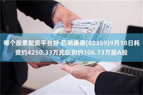 哪个股票配资平台好 药明康德(02359)9月18日耗资约4250.33万元回购约106.73万股A股