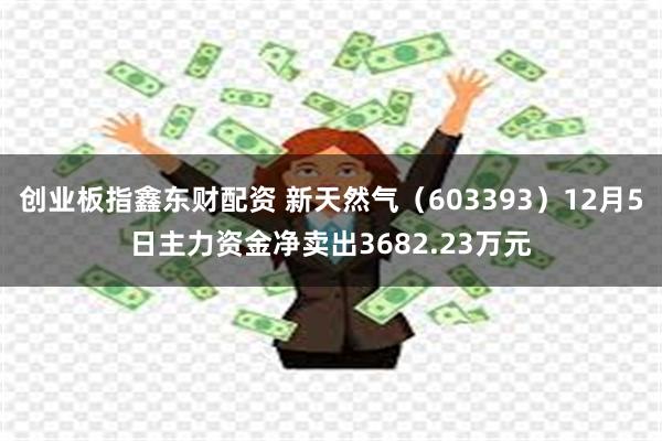 创业板指鑫东财配资 新天然气（603393）12月5日主力资金净卖出3682.23万元