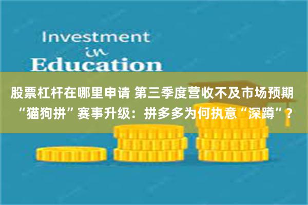 股票杠杆在哪里申请 第三季度营收不及市场预期 “猫狗拼”赛事升级：拼多多为何执意“深蹲”？