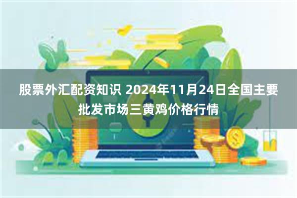 股票外汇配资知识 2024年11月24日全国主要批发市场三黄鸡价格行情