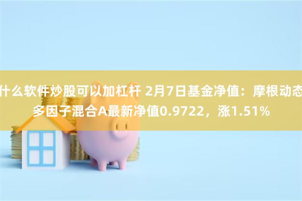 什么软件炒股可以加杠杆 2月7日基金净值：摩根动态多因子混合A最新净值0.9722，涨1.51%