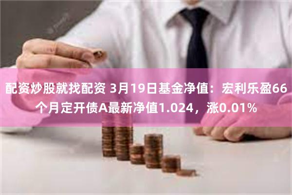 配资炒股就找配资 3月19日基金净值：宏利乐盈66个月定开债A最新净值1.024，涨0.01%